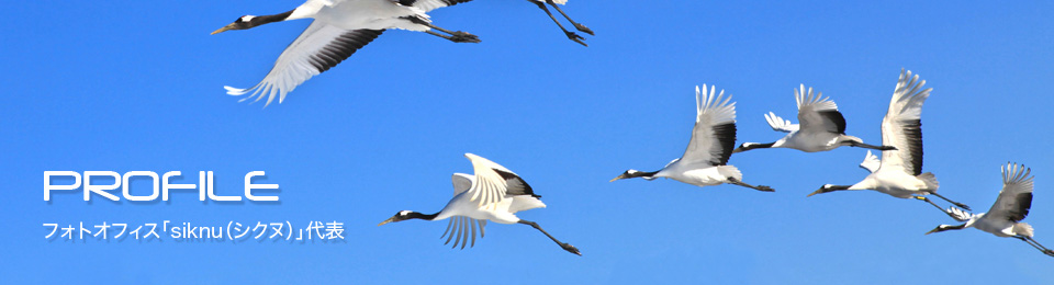 PROFILE:フォトオフィス「siknu(シクヌ)」代表